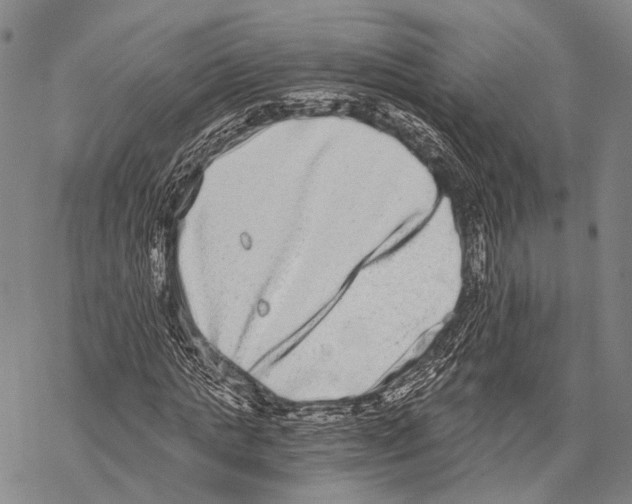 X0000068260821200605191800