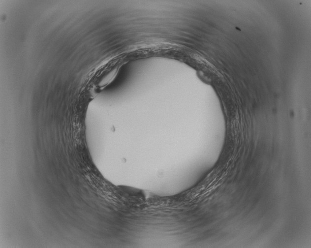 X0000068260822200605191800