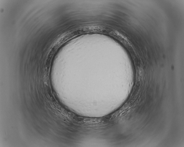 X0000068260823200605191800