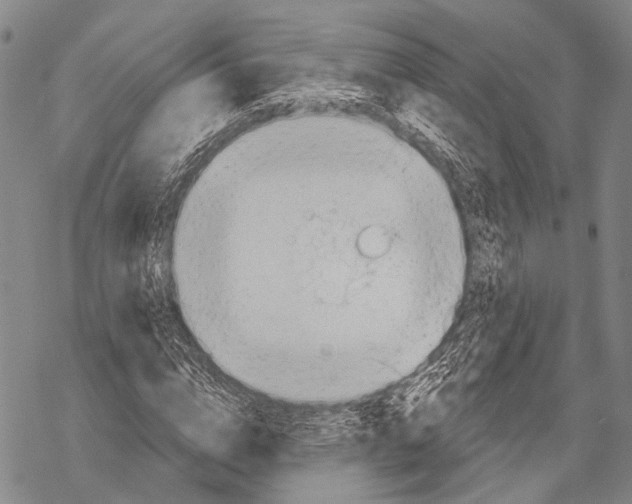 X0000068260824200605191800