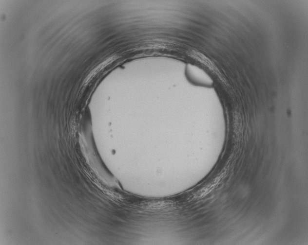 X0000068260826200605191800