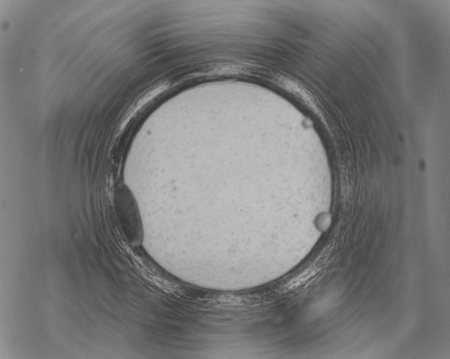 X0000068260827200605191800