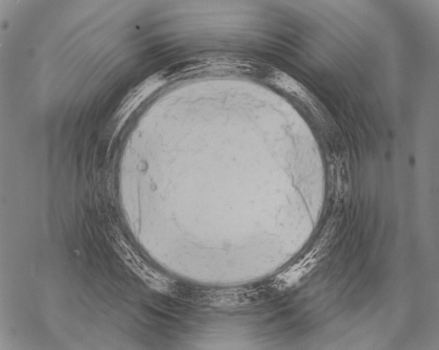 X0000068260828200605191800