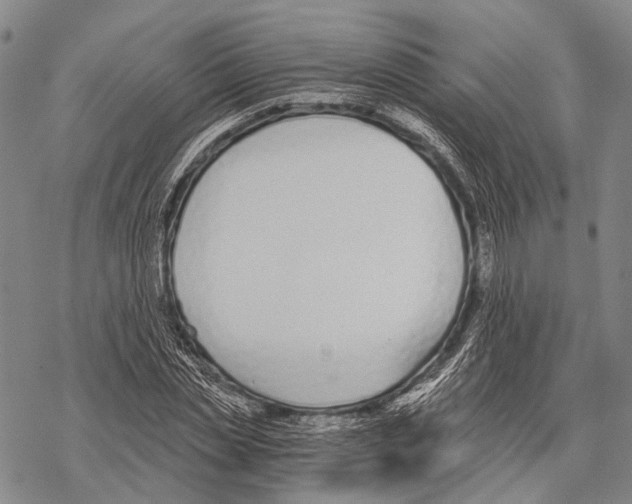 X0000068260829200605191801