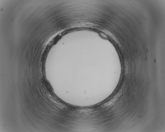 X0000068260830200605191801