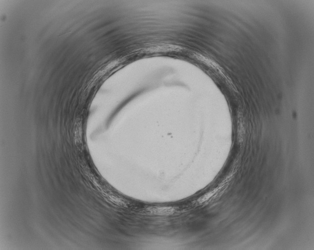 X0000068260833200605191801