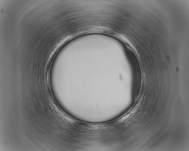 X0000068260835200605191801