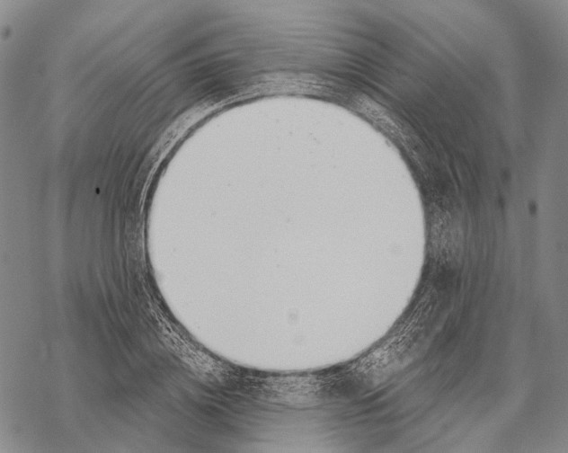 X0000068260836200605191801