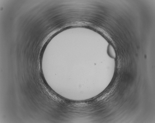 X0000068260837200605191801