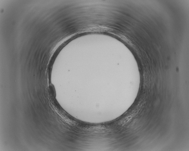 X0000068260838200605191801