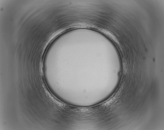 X0000068260839200605191801