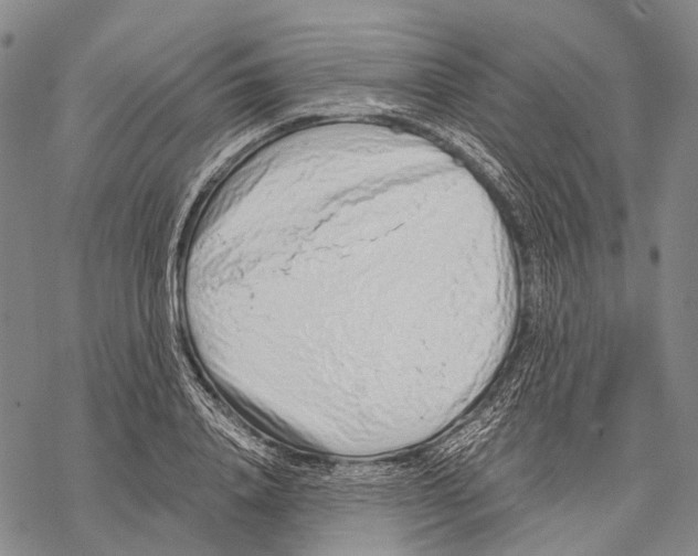 X0000068260840200605191801