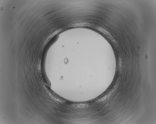 X0000068260841200605191801