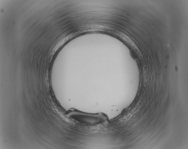 X0000068260842200605191801