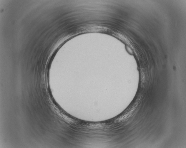 X0000068260843200605191801