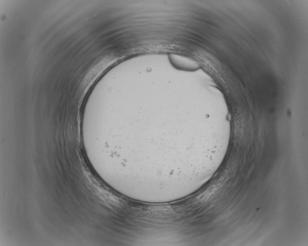 X0000068260844200605191801