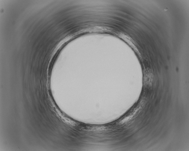 X0000068260845200605191801