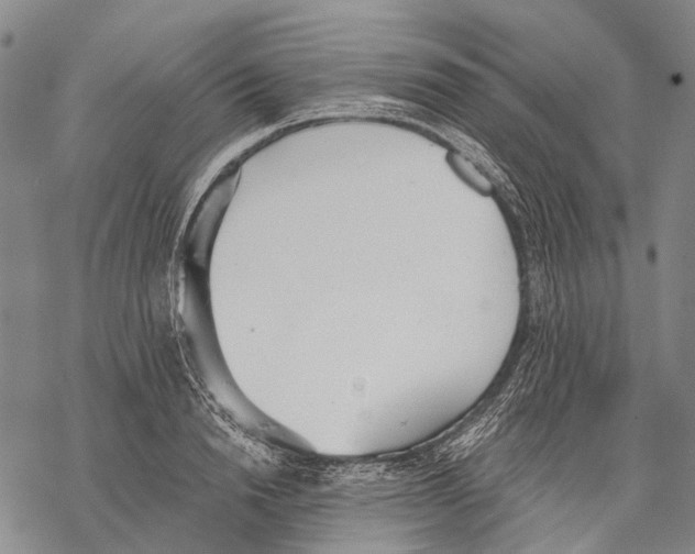 X0000068260846200605191801