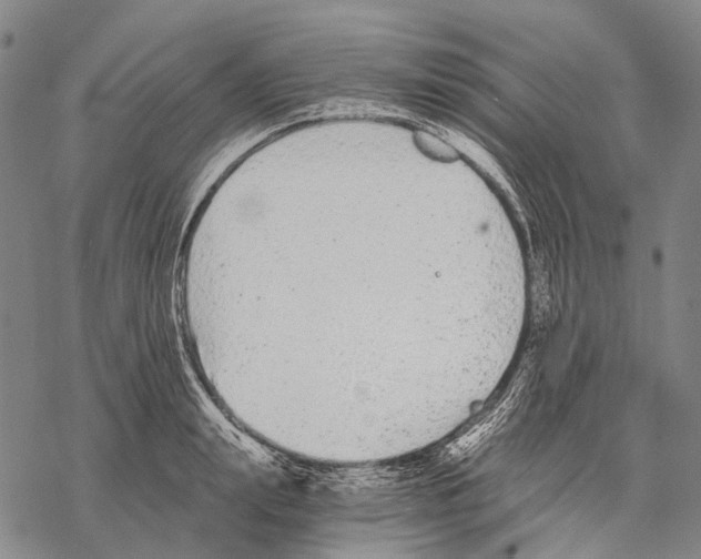 X0000068260847200605191801