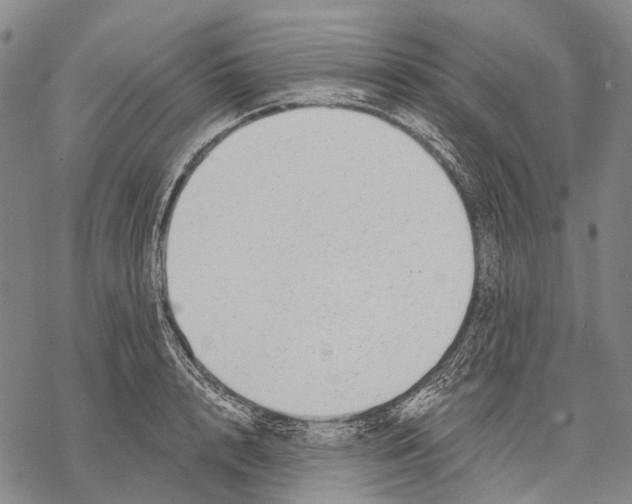 X0000068260848200605191801