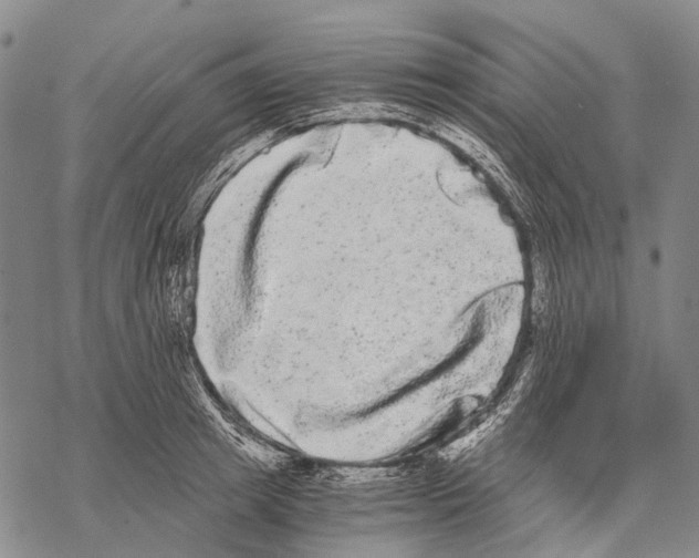 X0000068260849200605191801