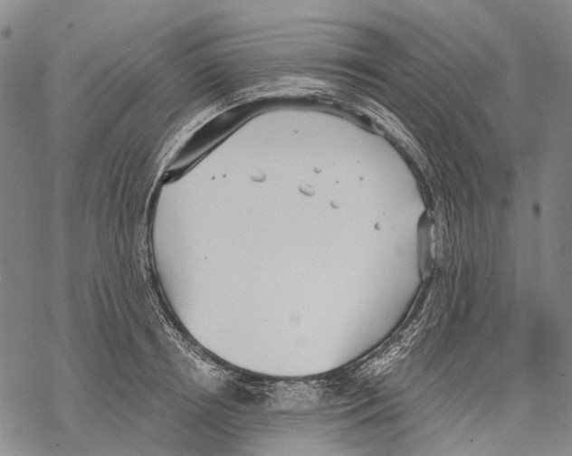 X0000068260850200605191801