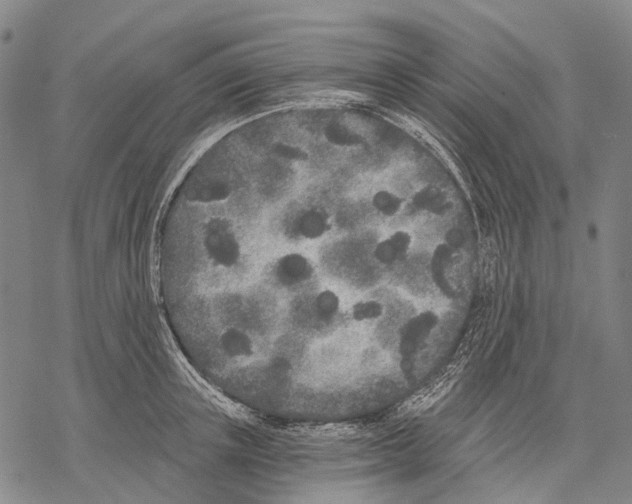 X0000068260851200605191801