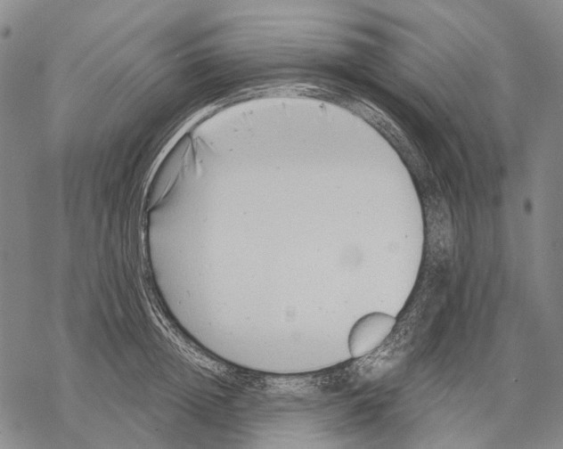 X0000068260852200605191801