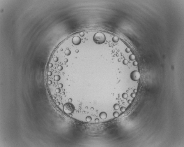 X0000068260856200605191801