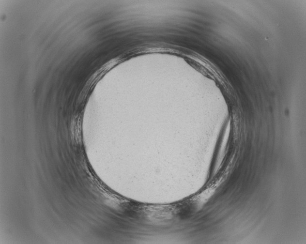 X0000068260857200605191801