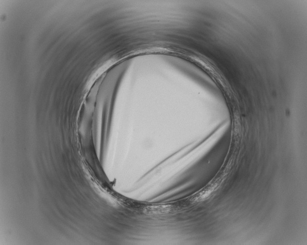 X0000068260858200605191801