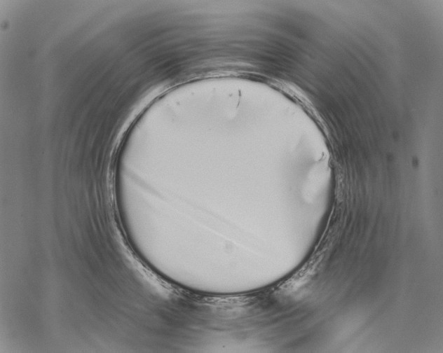 X0000068260859200605191801