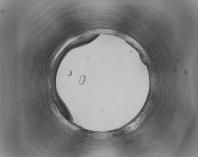 X0000068260860200605191801