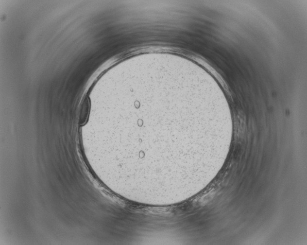 X0000068260861200605191801