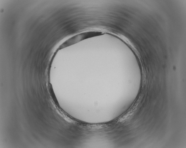 X0000068260862200605191801