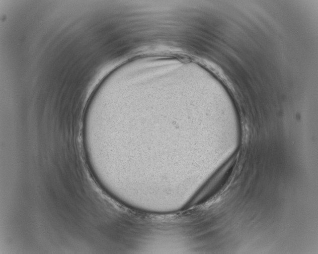 X0000068260863200605191801