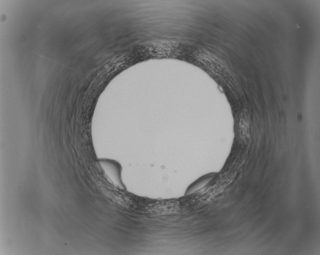 X0000068260865200605191800