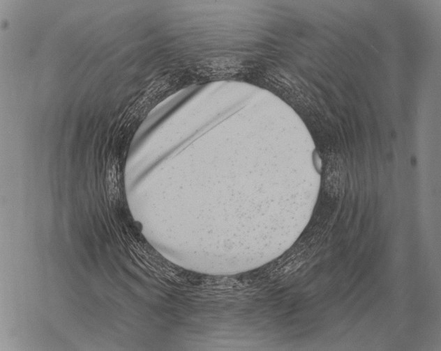 X0000068260866200605191800