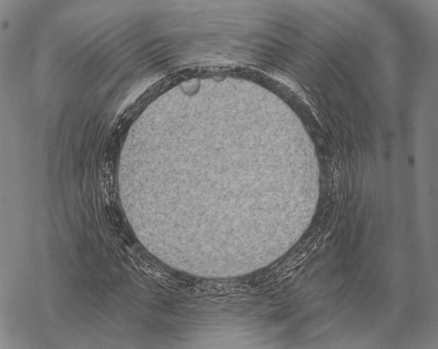 X0000068260871200605191800