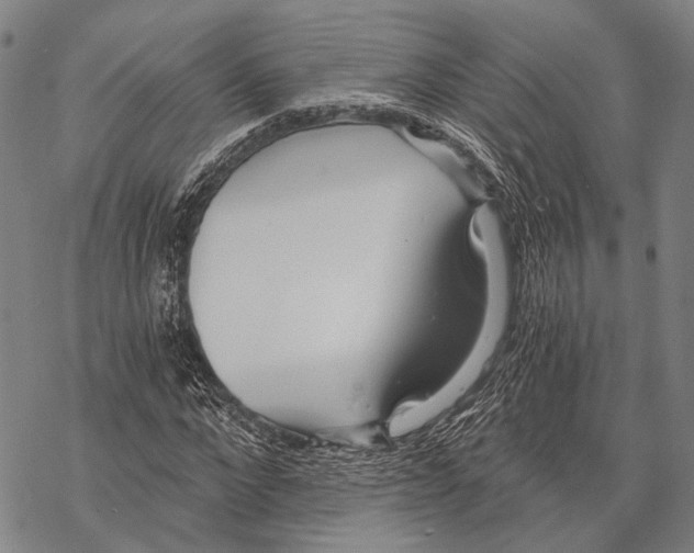 X0000068260872200605191800