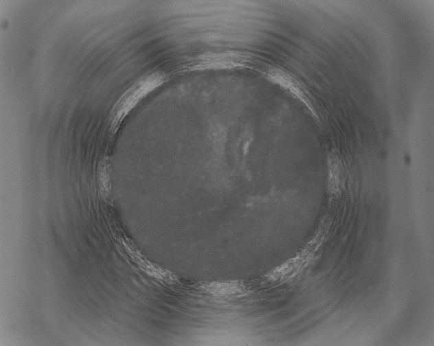 X0000068260874200605191800