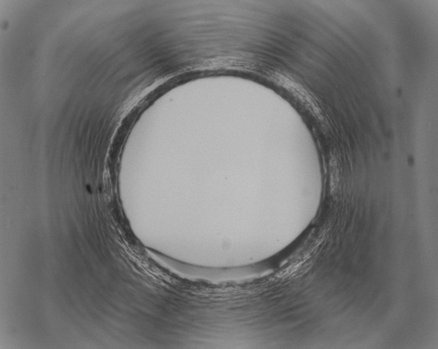 X0000068260876200605191800