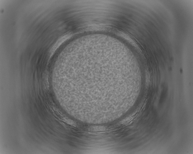 X0000068260878200605191800