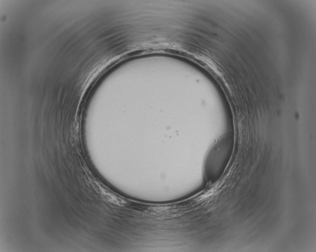 X0000068260879200605191800