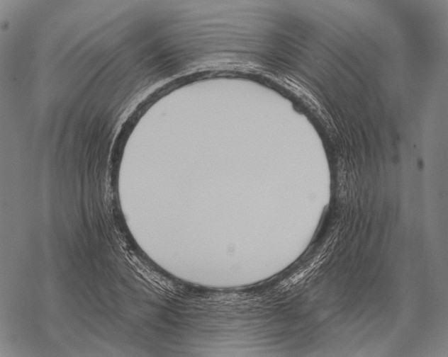 X0000068260880200605191800