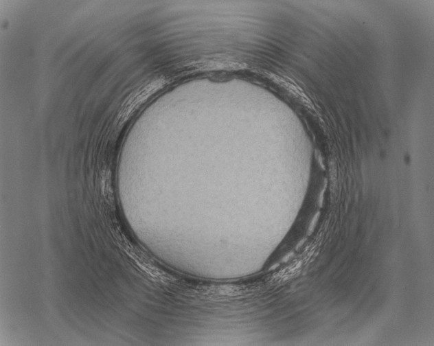 X0000068260881200605191800