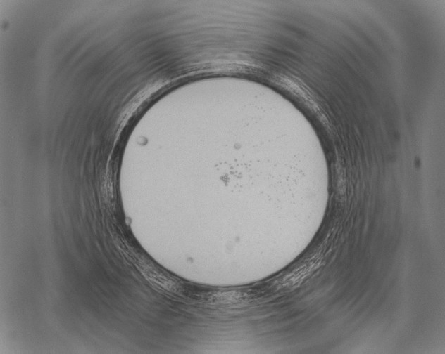 X0000068260883200605191800