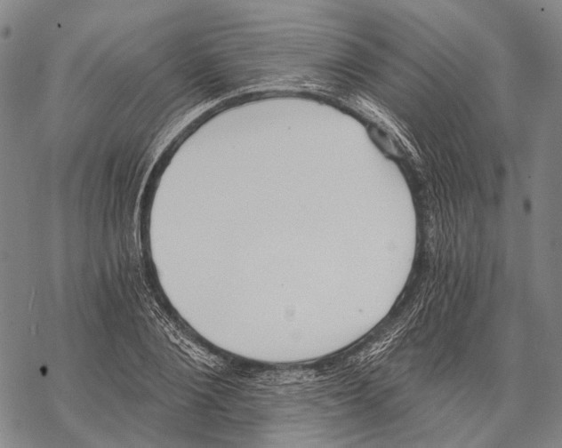 X0000068260884200605191800