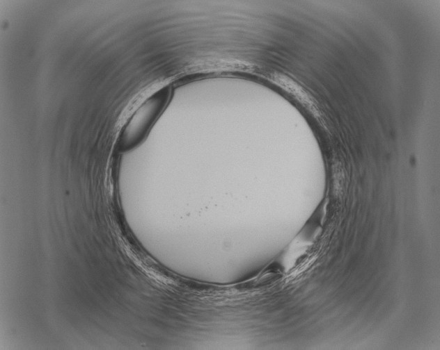 X0000068260885200605191800