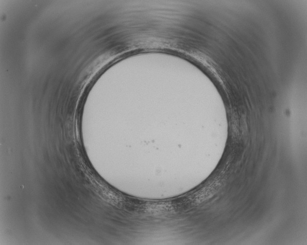 X0000068260887200605191800